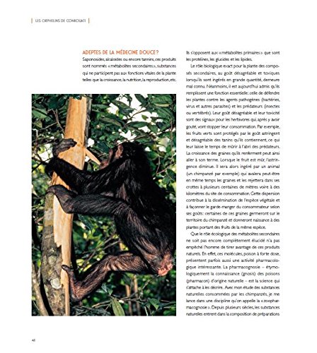 LES CHIMPANZÉS DES MONTS DE LA LUNE 4