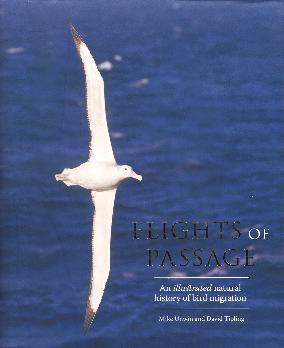 FLIGHTS OF PASSAGE