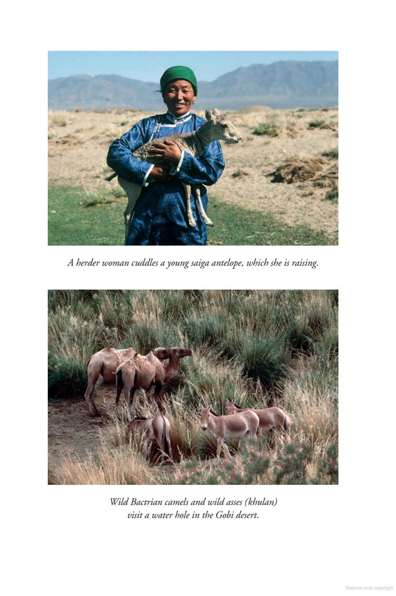 INTO WILD MONGOLIA 3