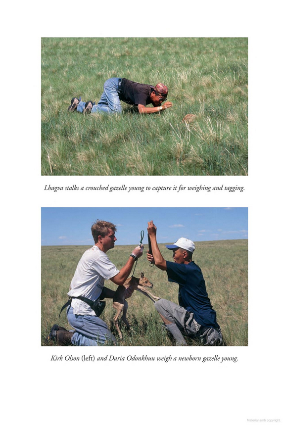 INTO WILD MONGOLIA 4