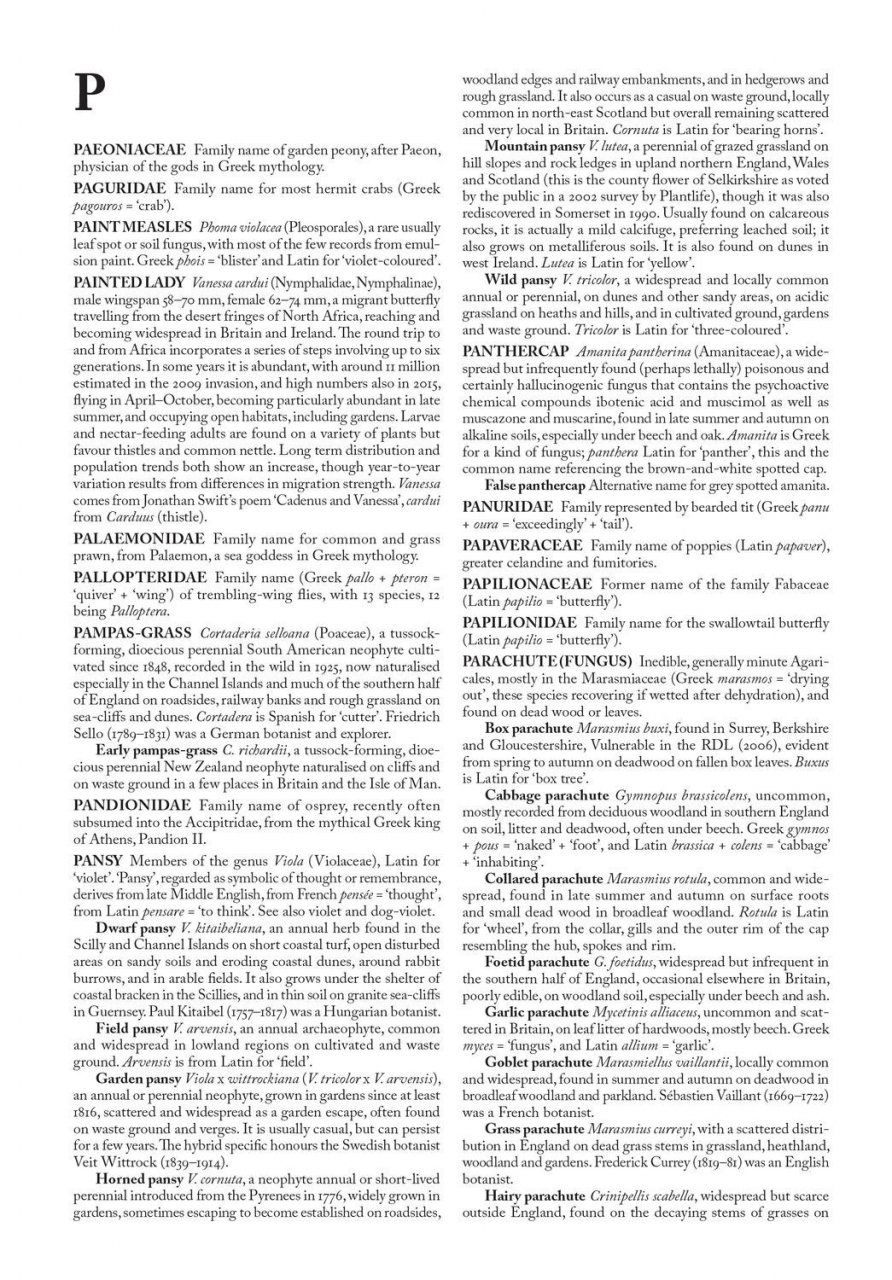 THE PELAGIC DICTIONARY OF NATURAL HISTORY OF THE BRITISH ISLES 4