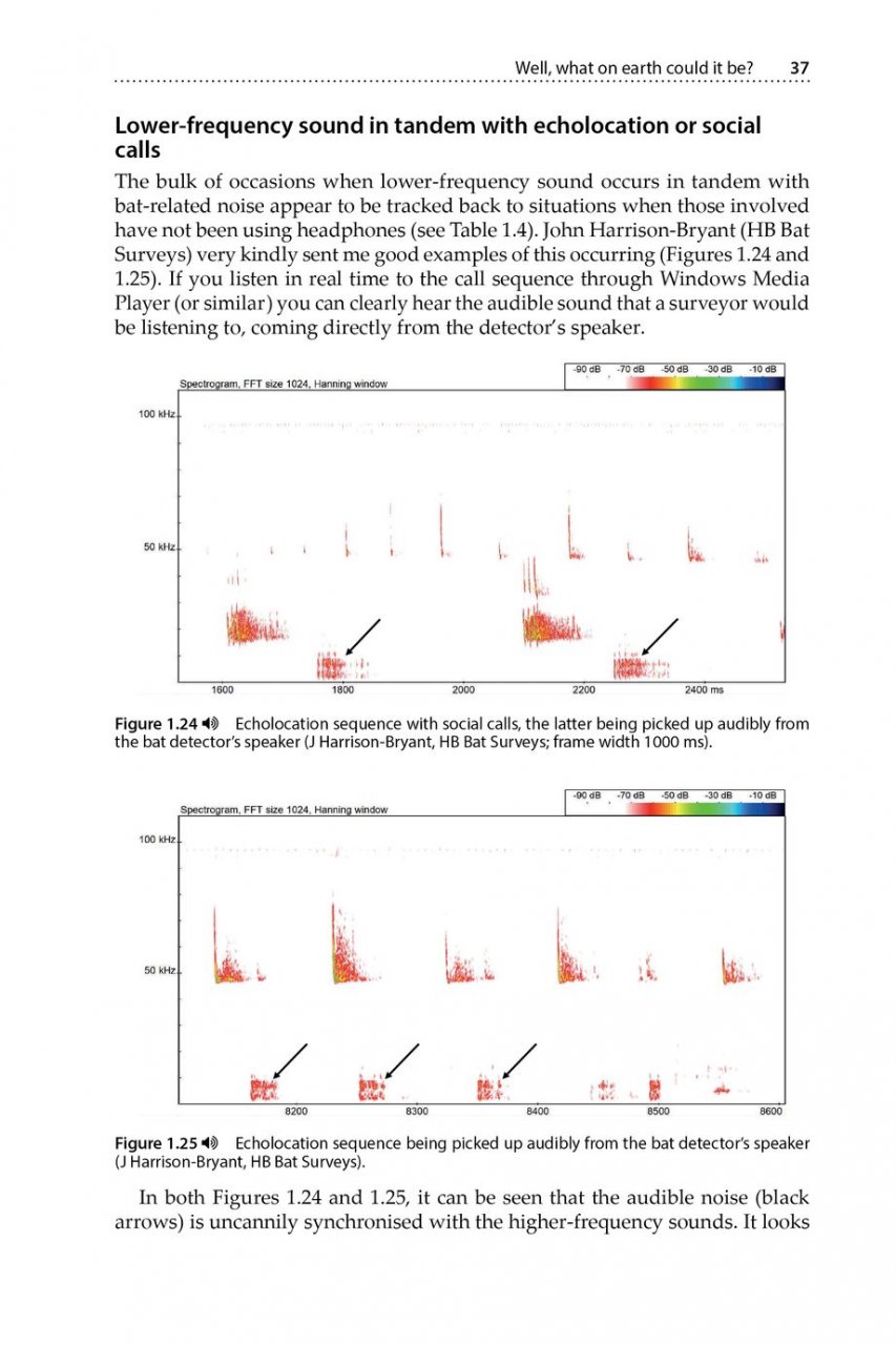 IS THAT A BAT?: A GUIDE TO NON-BAT SOUNDS ENCOUNTERED DURING BAT SURVEYS 2