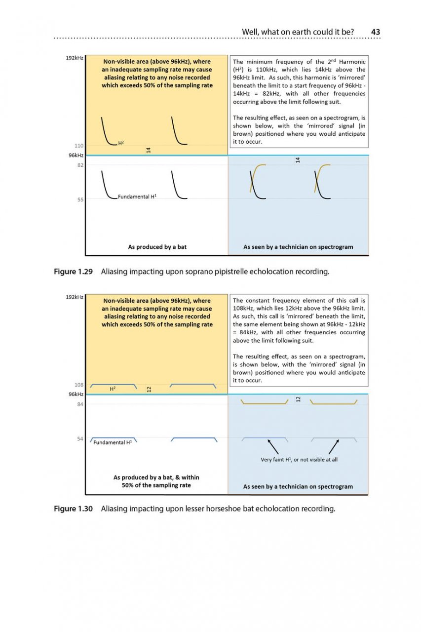 IS THAT A BAT?: A GUIDE TO NON-BAT SOUNDS ENCOUNTERED DURING BAT SURVEYS 3