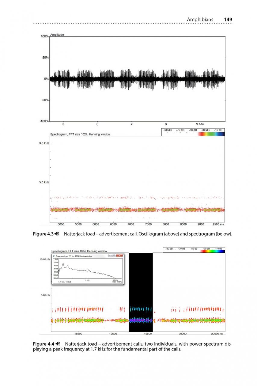 IS THAT A BAT?: A GUIDE TO NON-BAT SOUNDS ENCOUNTERED DURING BAT SURVEYS 6