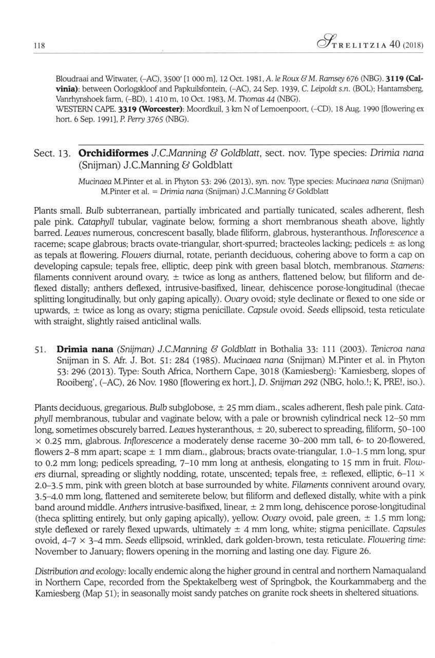 SYSTEMATICS OF DRIMIA, SL. (HYACINTHACEA: URGINEOIDEAE) OF SOUTHERN AFRICA 3