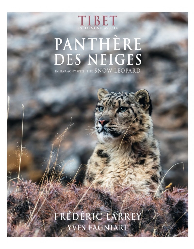 TIBET, EN HARMONIE AVEC LA PANTHÈRE DES NEIGES 1