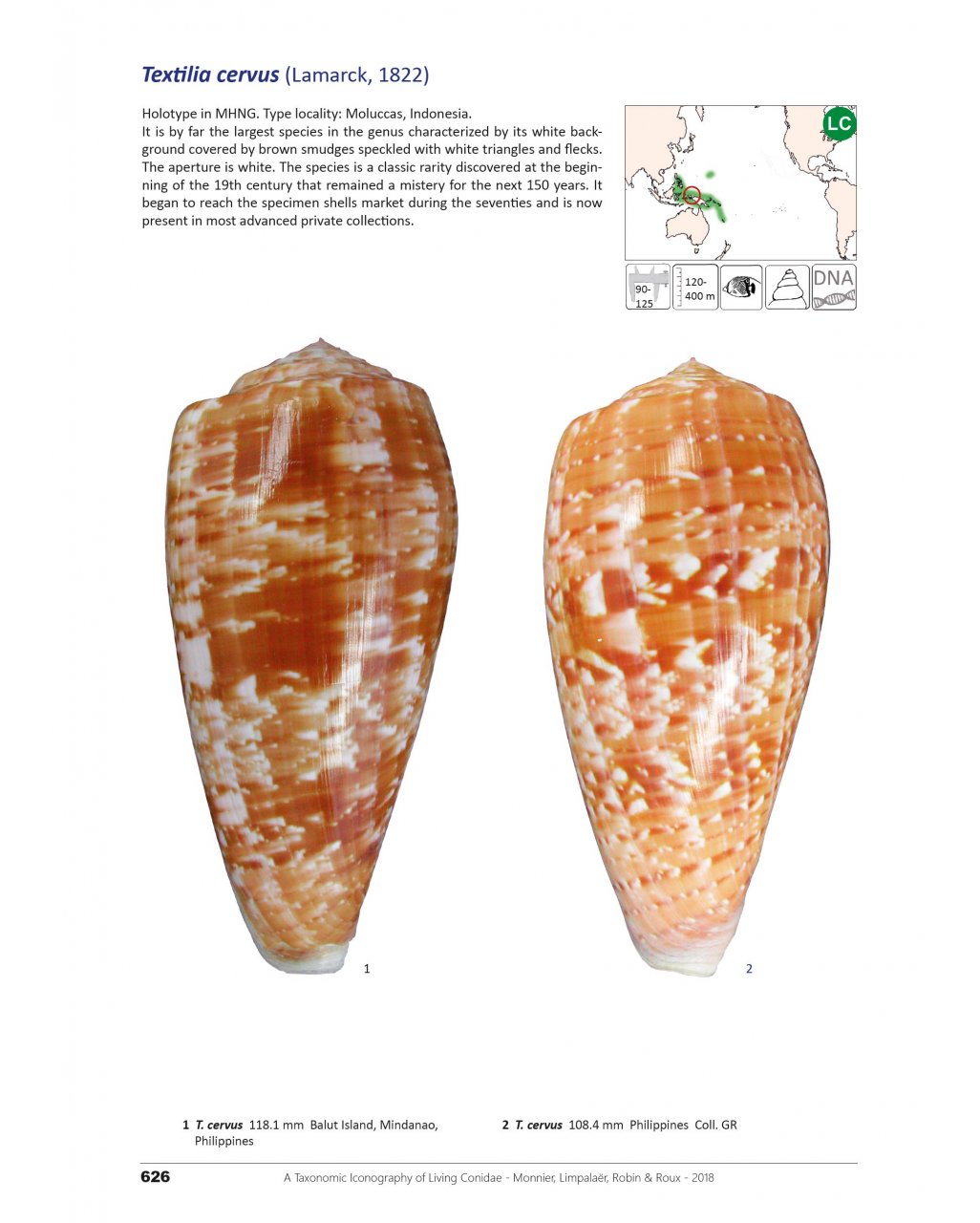 A TAXONOMIC ICONOGRAPHY OF LIVING CONIDAE. VOLUME 2 3