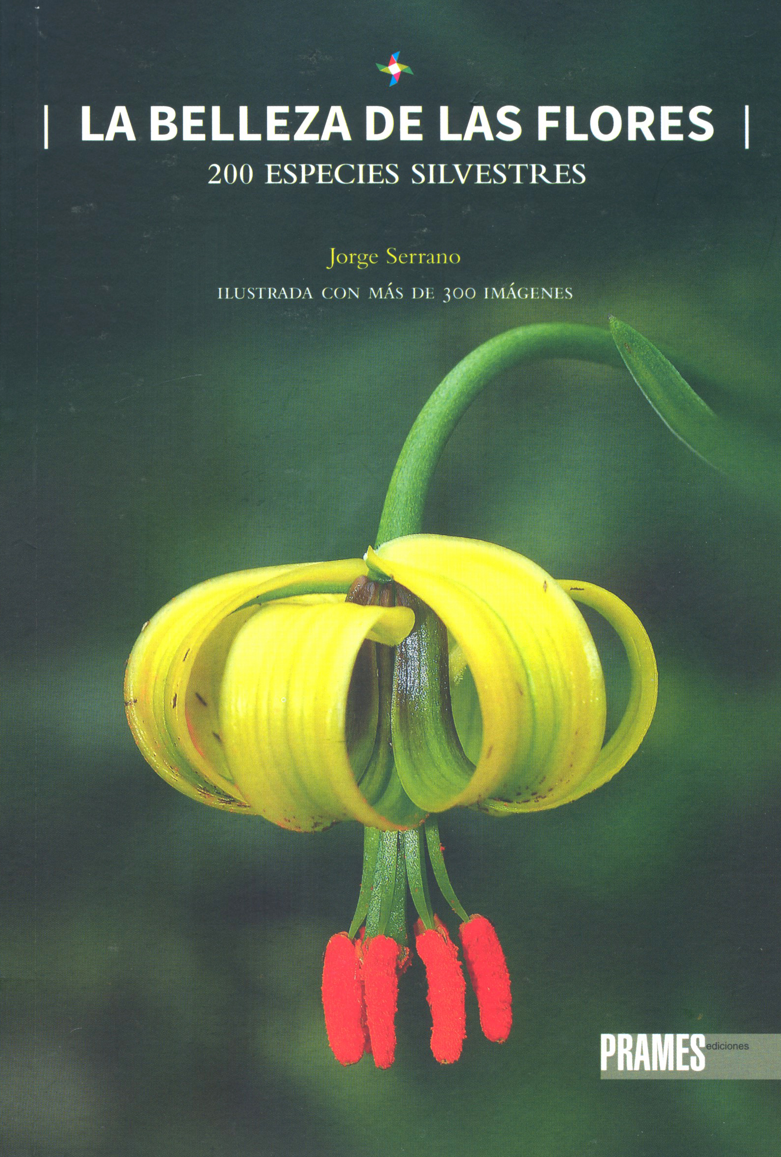 LA BELLEZA DE LAS FLORES