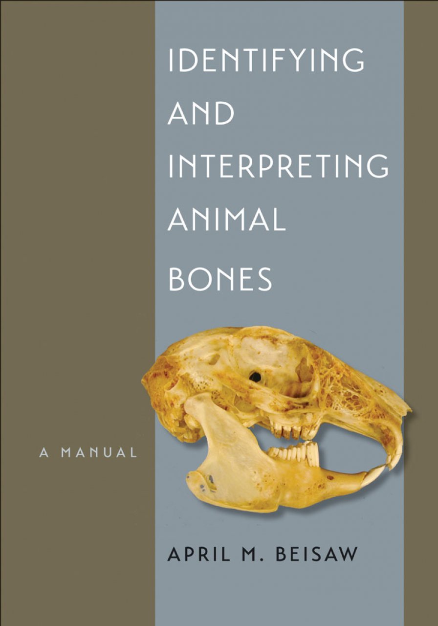 IDENTIFYING & INTERPRETING ANIMAL BONES. A MANUAL 1