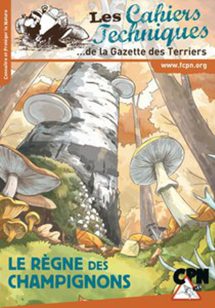 LE RÈGNE DES CHAMPIGNONS 1