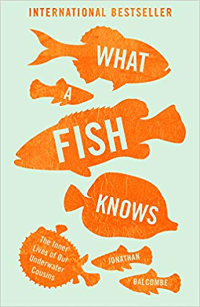 WHAT A FISH KNOWS