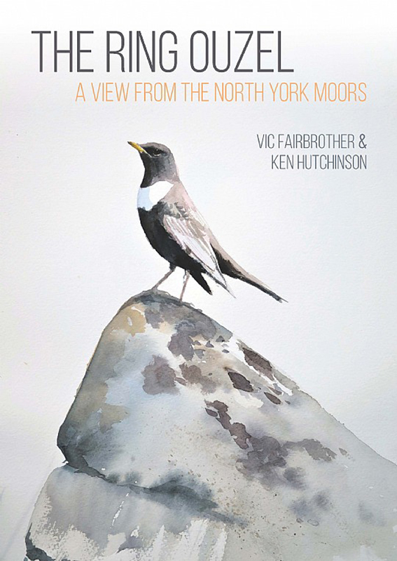 THE RING OUZEL. A VIEW FRON THE NORTH YORK MOORS