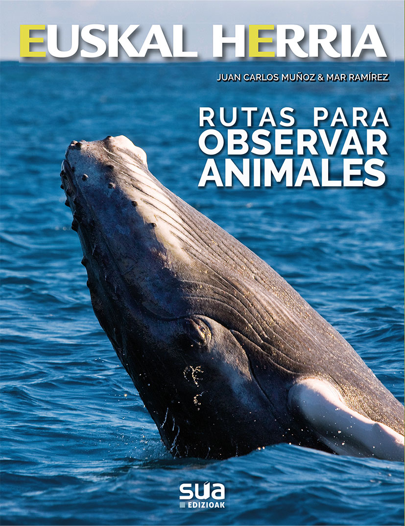EUSKAL HERRIA. RUTAS PARA OBSERVAR ANIMALES 1
