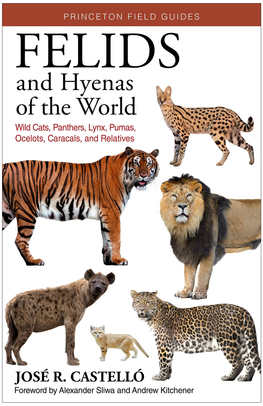 FELIDS AND HYENAS OF THE WORLD. WILD CATS, PANTHERS, LYNX, PUMAS, OCELOTS, CARACALS, AND RELATIVES 1