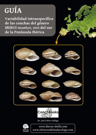 GUÍA VARIABILIDAD INTRAESPECÍFICA DE LAS CONCHAS DEL GÉNERO IBERUS MONTFORT, 1810 DEL SUR DE LA PENÍNSULA IBÉRICA