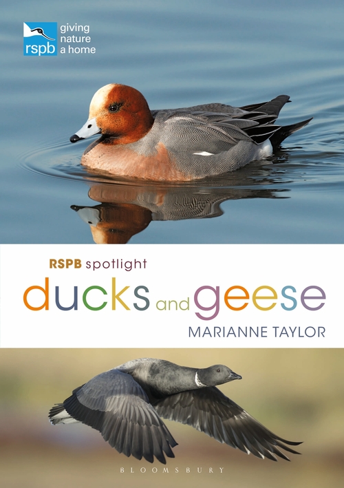 RSPB SPOTLIGHT. DUCKS AND GEESE