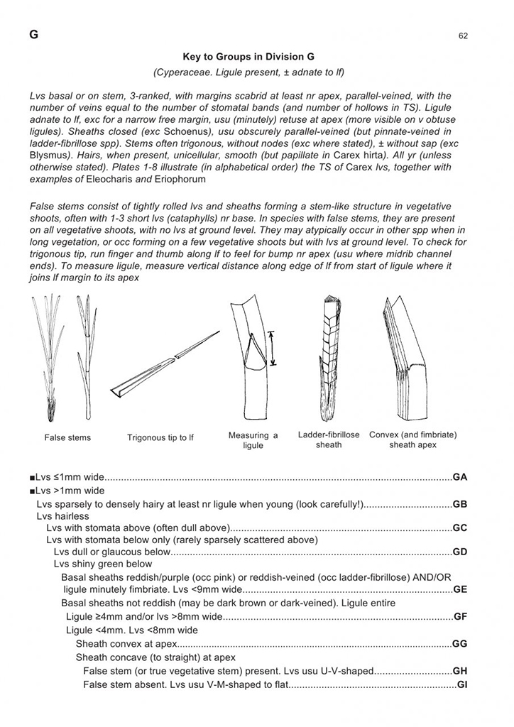 THE VEGETATIVE KEY TO THE BRITISH FLORA. A NEW APPROACH TO NAMING BRITISH & IRISH VASCULAR PLANTS BASED ON VEGETATIVE CHARACTERS 3