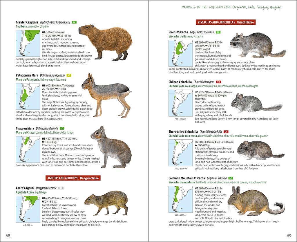 LYNX ILLUSTRATED CHECKLISTS. MAMMALS OF THE SOUTHERN CONE. ARGENTINA, CHILE, PARAGUAY, URUGUAY 2