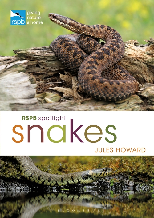 RSPB SPOTLIGHT SNAKES