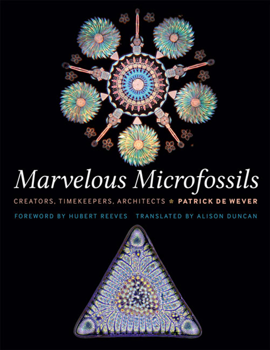 MARVELOUS MICROFOSSILS: CREATORS, TIMEKEEPERS, ARCHITECTS.