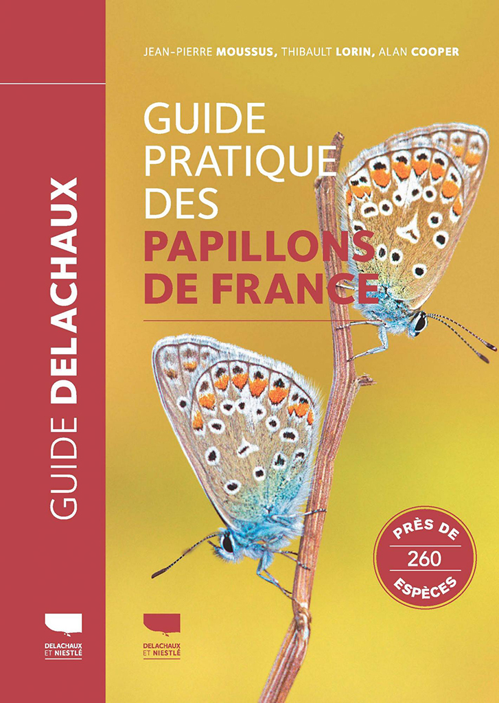 GUIDE PRATIQUE DES PAPILLONS DE FRANCE. PRÈS DE 260 ESPÈCES 1