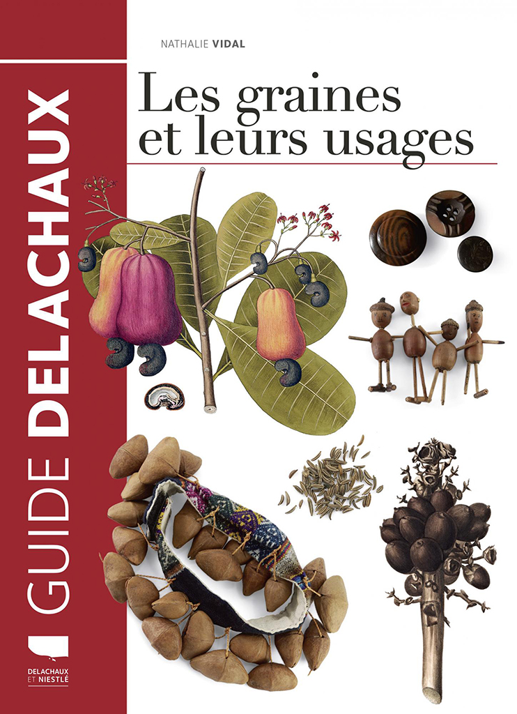 LES GRAINES ET LEURS USAGES