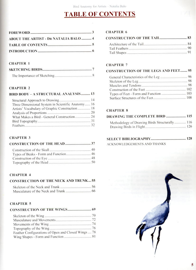 BIRD ANATOMY FOR ARTISTS COMPREHENSIVE GUIDE TO DRAWING BIRDS FOR ARTISTS AND BIRD LOVERS 2
