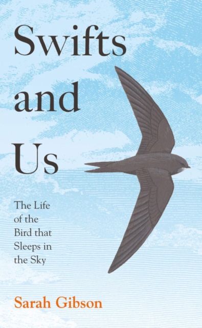 SWIFTS AND US. THE LIFE OF THE BIRD THAT SLEEPS IN THE SKY 1