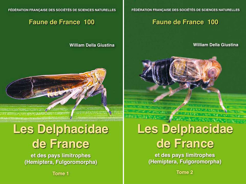FAUNE DE FRANCE VOLUME 100: LES DELPHACIDAE DE FRANCE ET DES PAYS LIMITROPHES. (HEMIPTERA FULGOROMORPHA) TOME 1,2 1