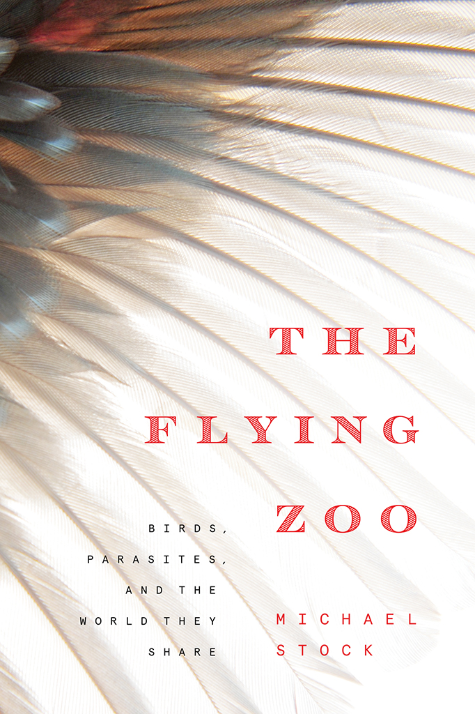 THE FLYING ZOO