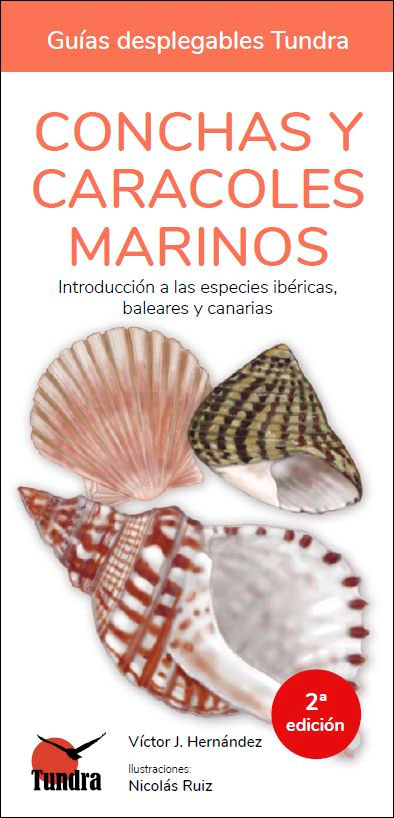 CONCHAS Y CARACOLES MARINOS. INTRODUCCIÓN A LAS ESPECIES IBÉRICAS, BALEARES Y CANARIAS. GUÍAS DESPLEGABLES TUNDRA