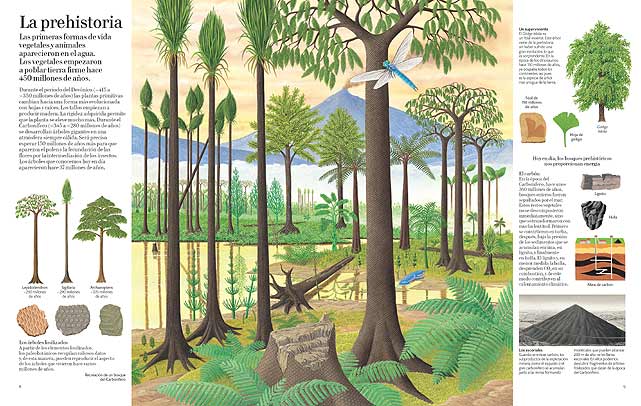 GRAN LIBRO DEL ÁRBOL Y EL BOSQUE 2
