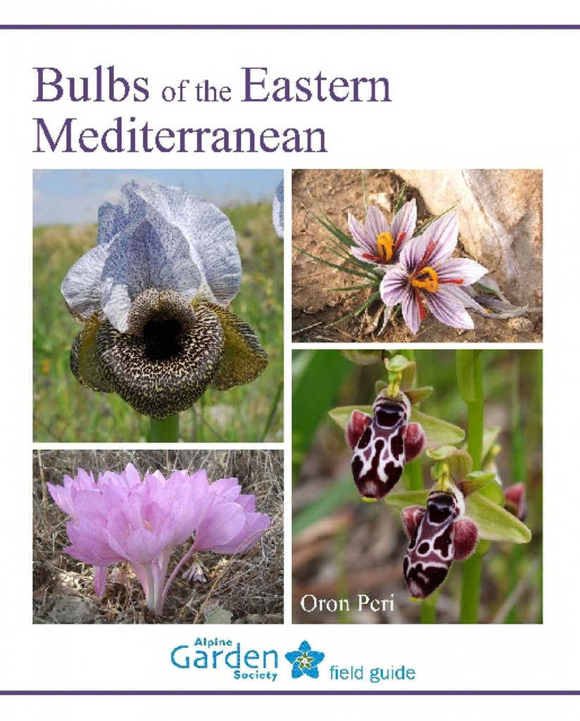 BULBS OF THE EASTERN MEDITERRANEAN 1