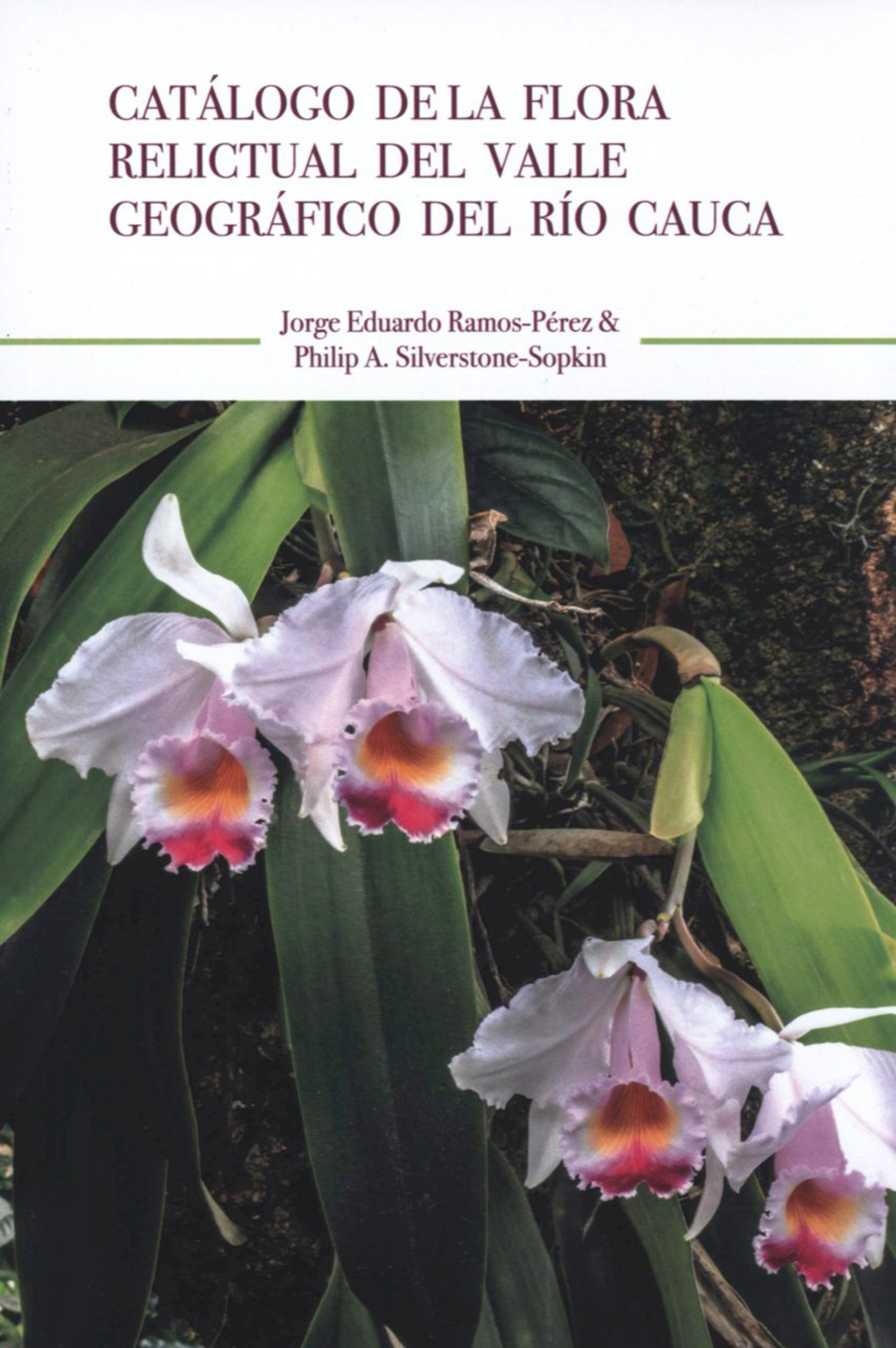 CATÁLOGO DE LA FLORA RELICTUAL DEL VALLE GEOGRÁFICO DEL RÍO CAUCA 1