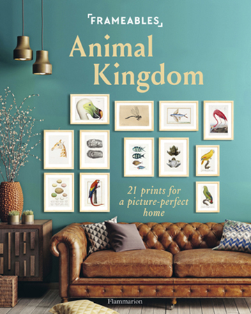 ANIMAL KINGDOM FRAMEABLES