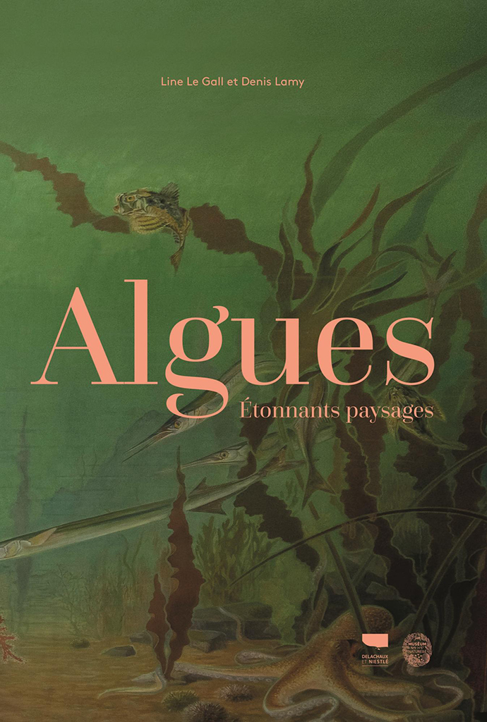 ALGUES, ETONNANTS PAYSAGES