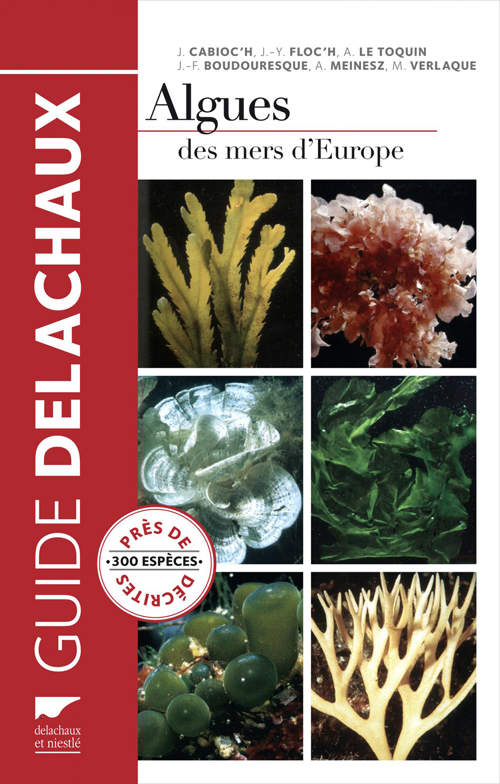 ALGUES DES MERS D'EUROPE. PRÈS DE 300 ESPÈCES DÉCRITES 1