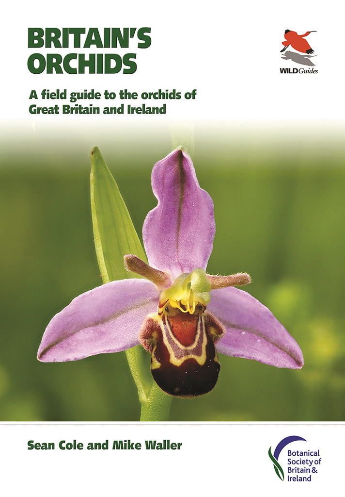 BRITAIN'S ORCHIDS. A FIELD GUIDE TO THE ORCHIDS OF GREAT BRITAIN AND IRELAND 1