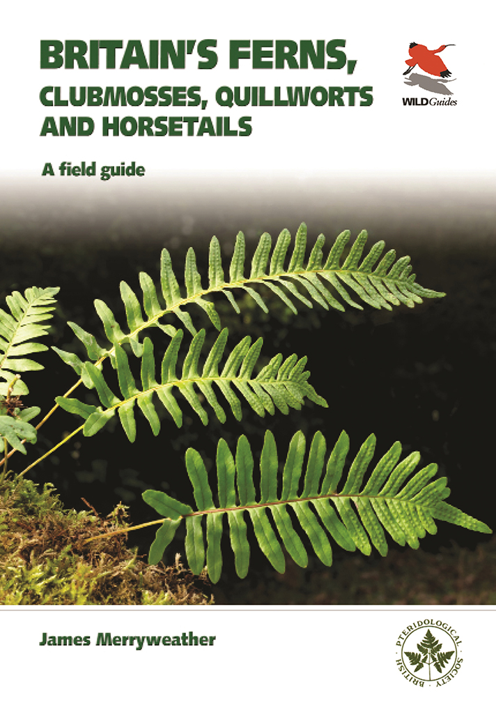 BRITAIN'S FERNS, CLUBMOSSES, QUILLWORTS AND HORSETAILS. A FIELD GUIDE 1