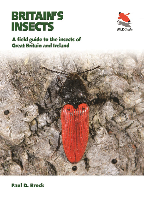 BRITAIN'S INSECTS. A FIELD GUIDE TO THE INSECTS OF GREAT BRITAIN AND IRELAND