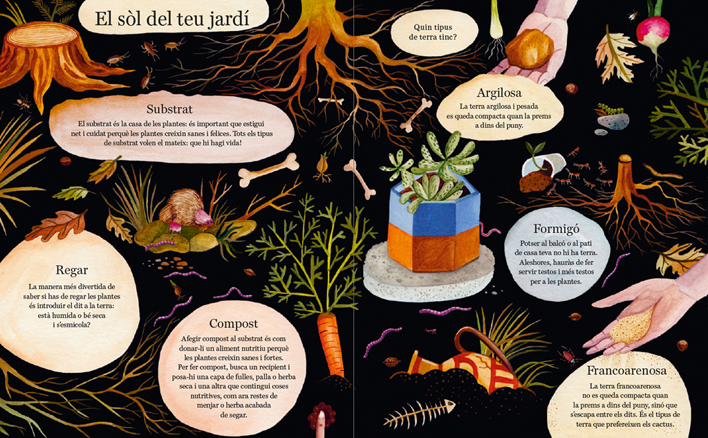 FLORS I VIOLES. UN JARDINET A CASA 2