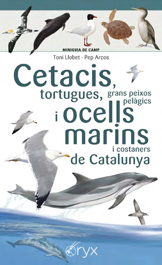 CETACIS, TORTUGUES, GRANS PEIXOS PELÀGICS I OCELLS MARINS I COSTANERS DE CATALUNYA. MINIGUIA DE CAMP 1