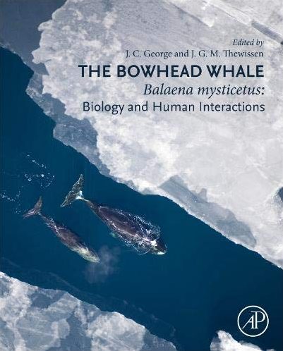 THE BOWHEAD WHALE. BALAENA MYSTICETUS: BIOLOGY AND HUMAN INTERACTION 1