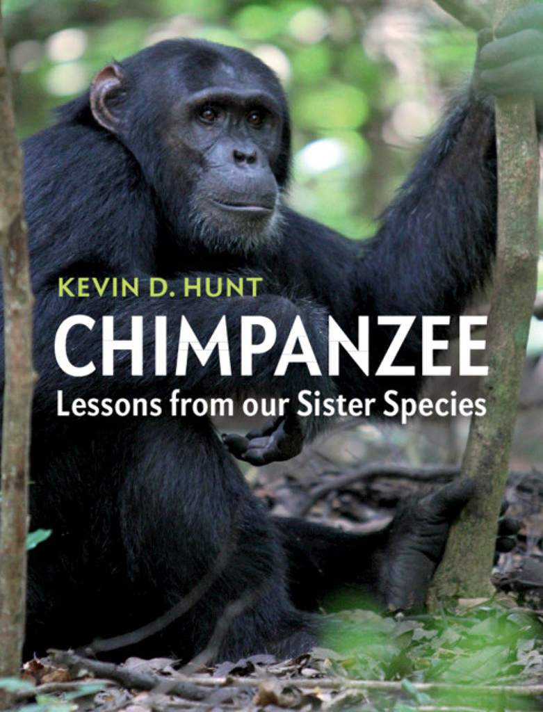 CHIMPANZEE. LESSONS FROM OUR SISTER SPECIES