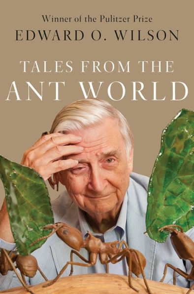 TALES FROM THE ANT WORLD 1