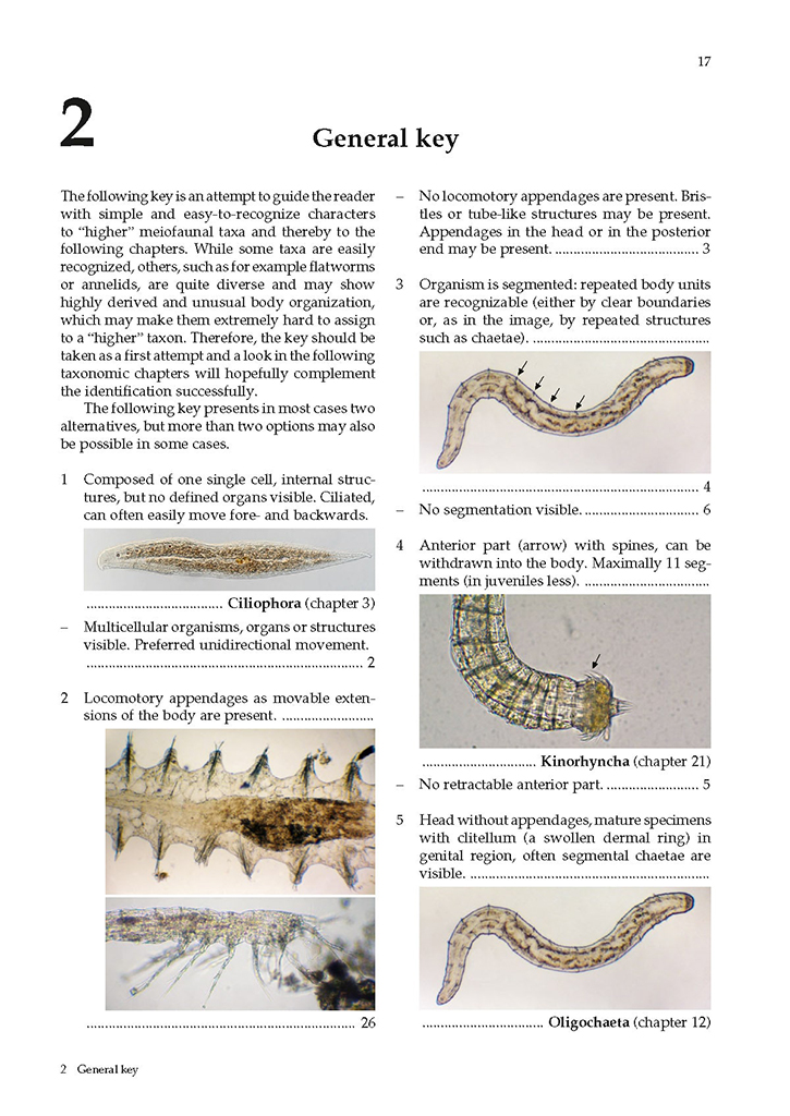 GUIDE TO THE IDENTIFICATION OF MARINE MEIOFAUNA 2