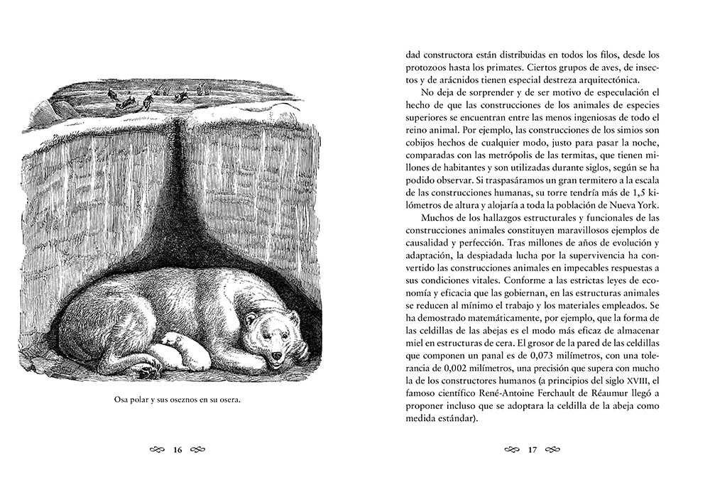 ANIMALES ARQUITECTOS 2