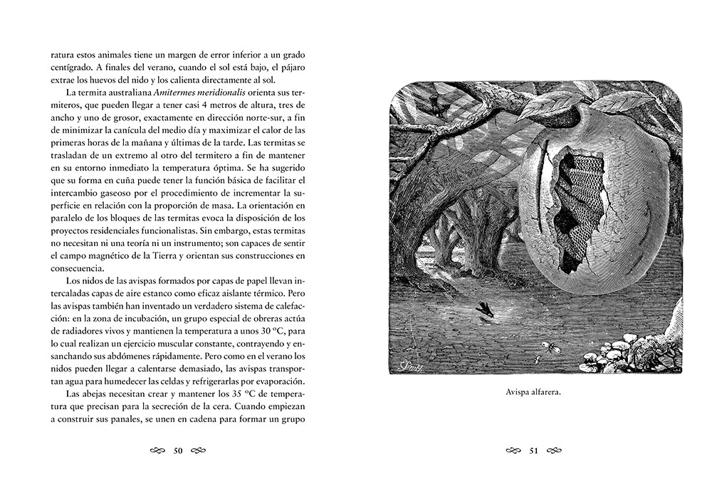 ANIMALES ARQUITECTOS 4
