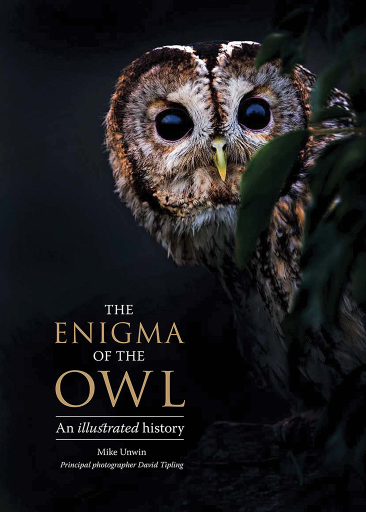 THE ENIGMA OF THE OWL: AN ILLUSTRATED NATURAL HISTORY