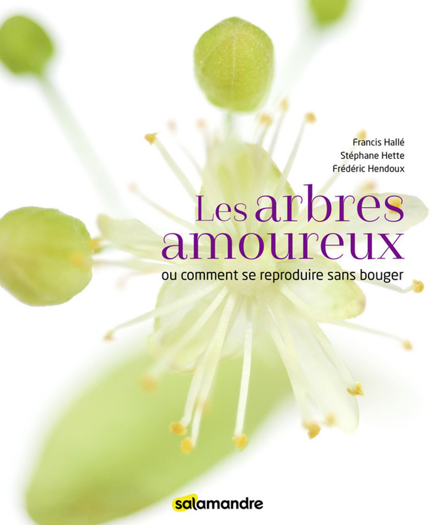 LES ARBRES AMOUREUX O COMMENT SE REPRODUIRE SANS BOUGER